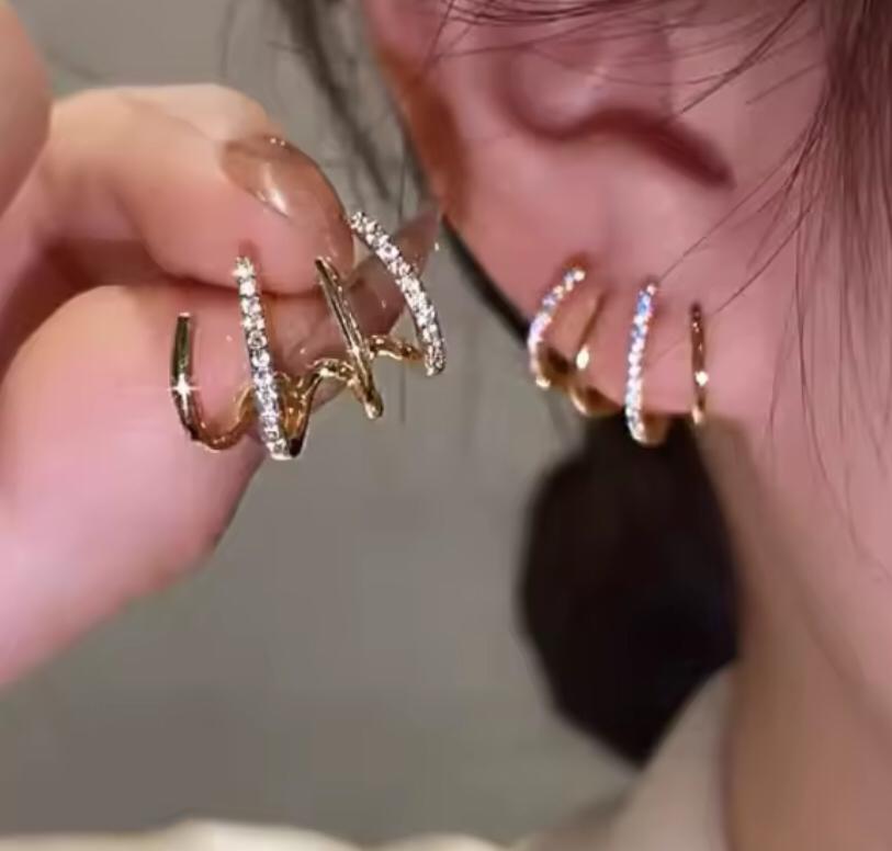 Hoop Earrings